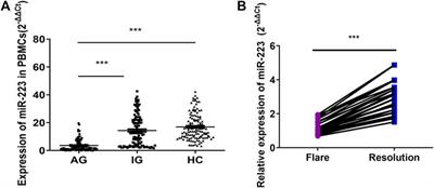 MicroRNA-223 Suppresses IL-1β and TNF-α Production in Gouty Inflammation by Targeting the NLRP3 Inflammasome